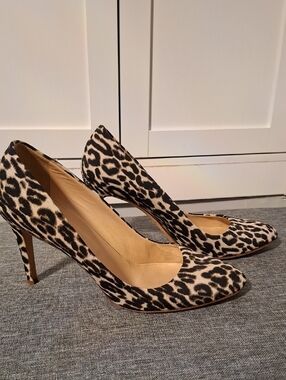 J. Crew Leopard Print Pointed Pumps in‎ Black and Cream
